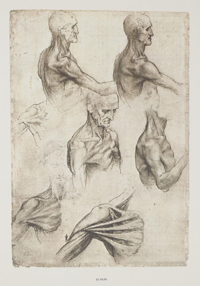 Große Abbildung Nr.1: 135-1055 Vinci, L.da.: (Kunstwissenschaft)