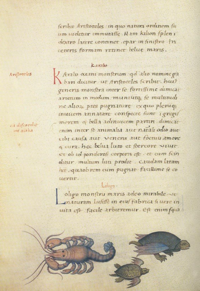 Große Abbildung Nr.1: 135-1079 Candidus,P.: (Faksimile)