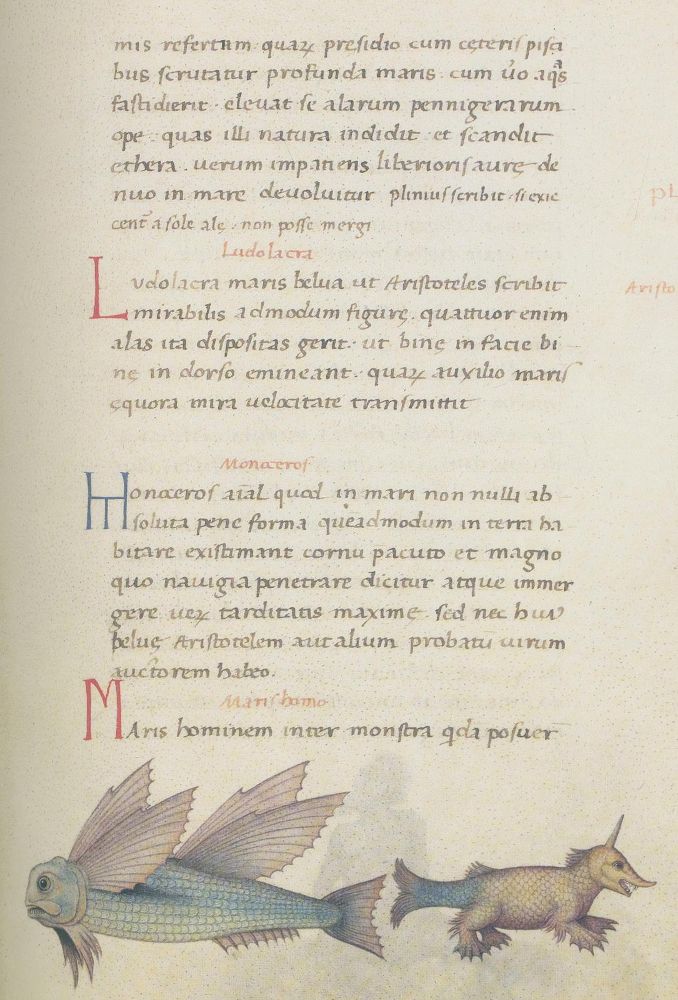 Große Abbildung Nr.2: 135-1079 Candidus,P.: (Faksimile)