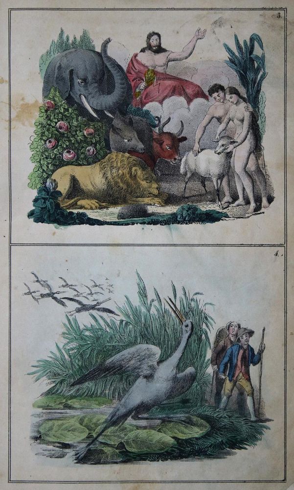 Große Abbildung Nr.1: 135-1216 Hoffmann,F.: (Kinder- und Jugendbücher)