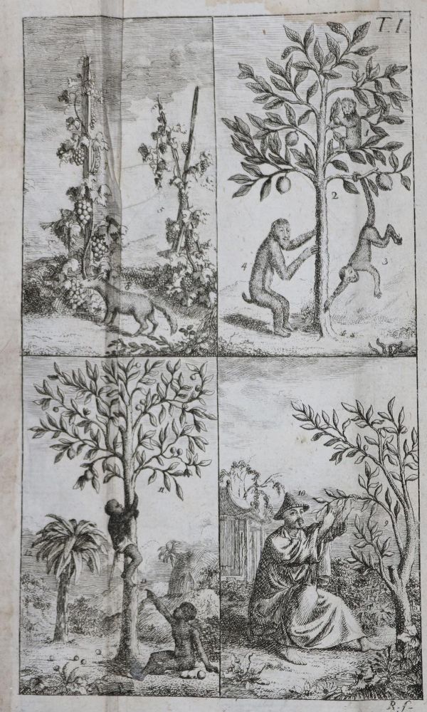 Große Abbildung Nr.2: 135-1253 Raff,G.C.: (Kinder- und Jugendbücher)