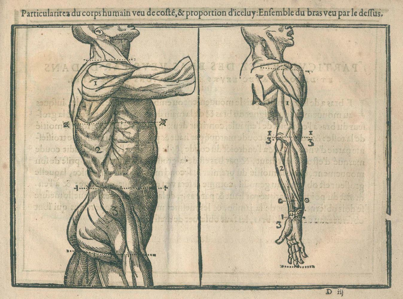 Große Abbildung Nr.1: 135-148 Cousin,J.: (Alte Drucke, Handschriften und Theologie)