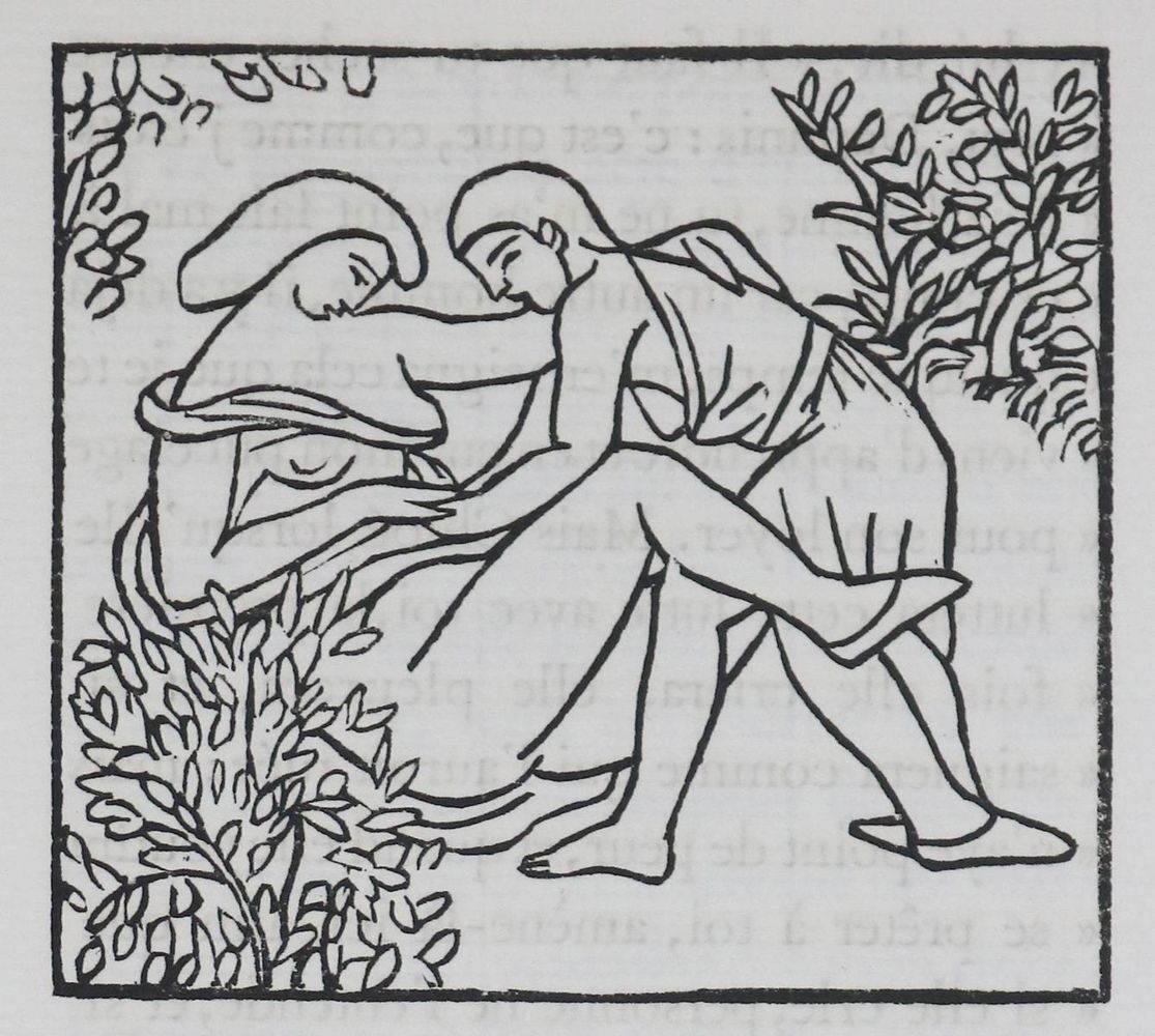 Große Abbildung Nr.2: 135-1617 Longus.: (Maillol)