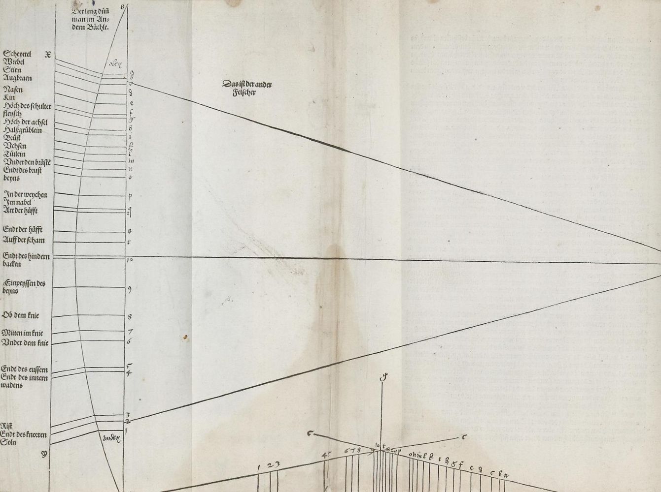 Große Abbildung Nr.4: 135-166 Dürer, A. (Alte Drucke, Handschriften und Theologie)