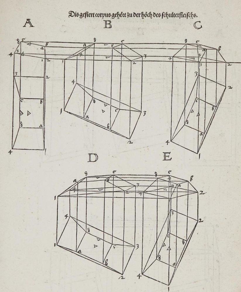 Große Abbildung Nr.6: 135-166 Dürer, A. (Alte Drucke, Handschriften und Theologie)