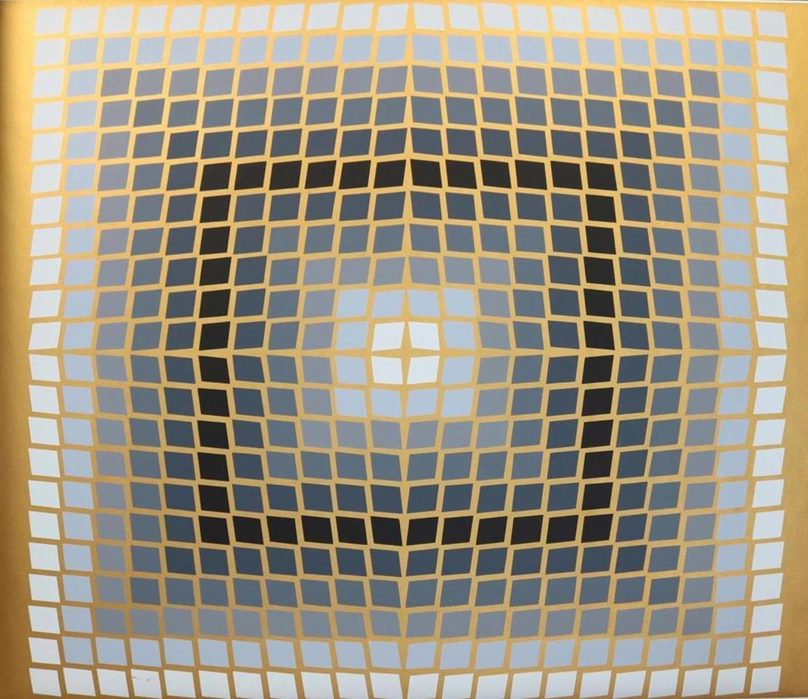 Große Abbildung Nr.15: 135-1675 Descartes,R.: (Vasarely)