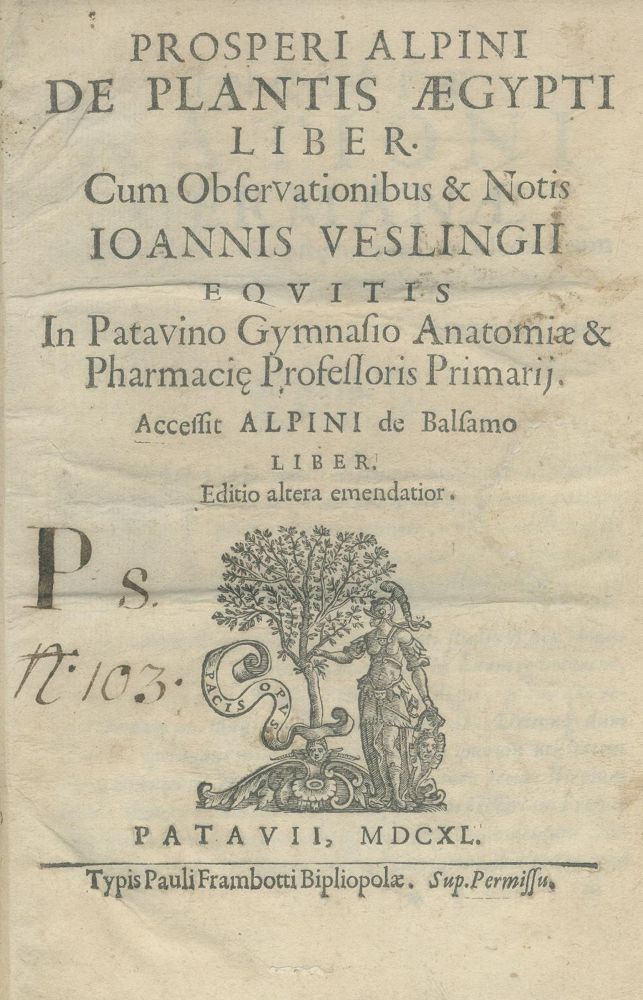 Große Abbildung Nr.1: 135-1689 Alpino, P.: (Botanik, Ägypten)