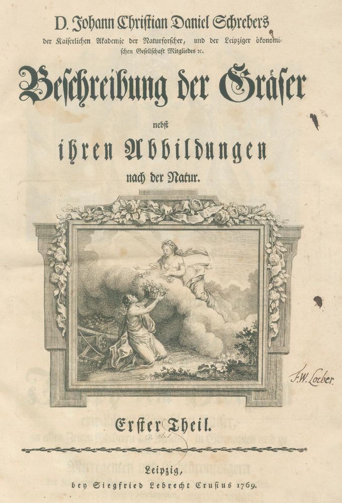 Große Abbildung Nr.1: 135-1704 Schreber,J.C.D.: (Botanik)