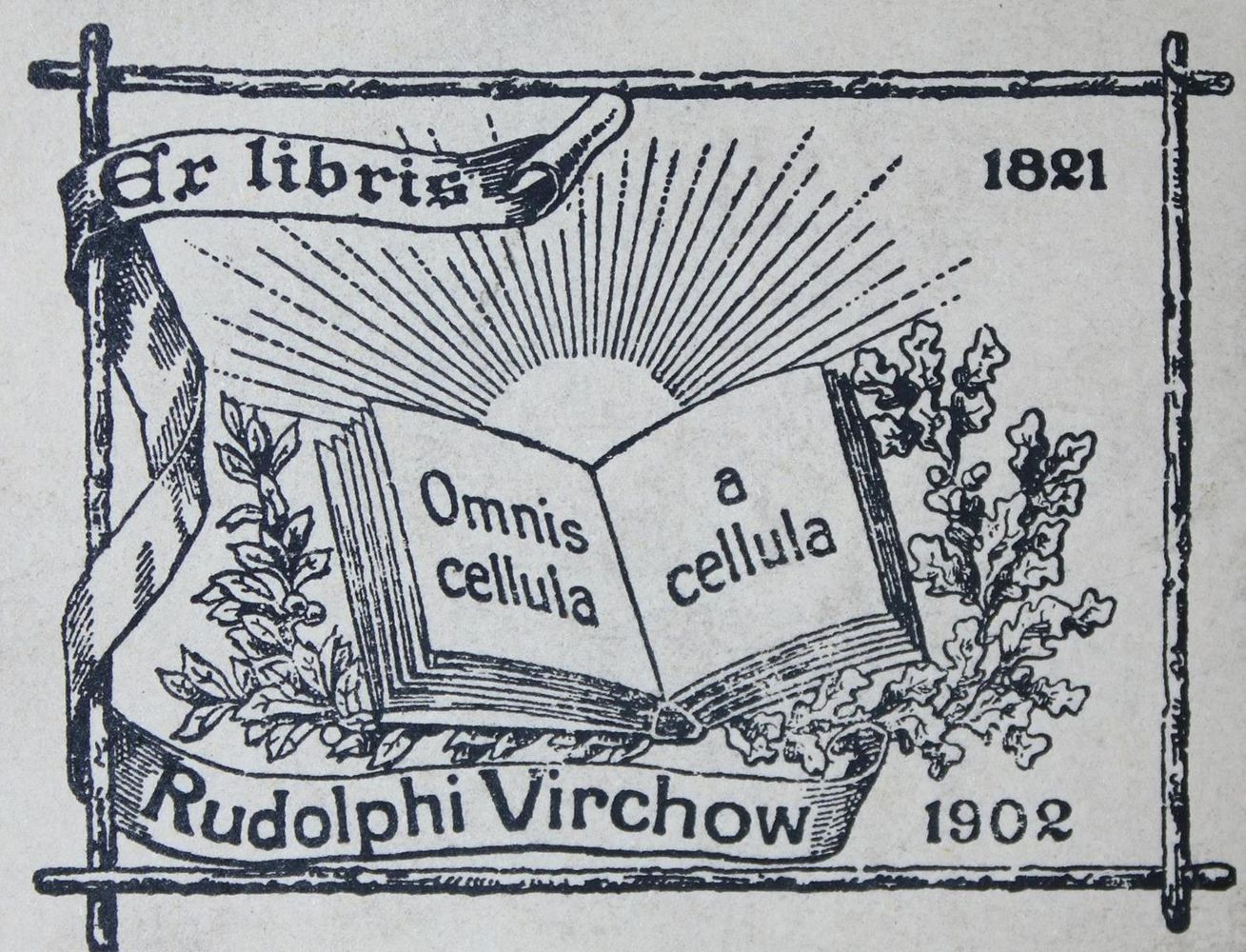 Große Abbildung Nr.2: 135-1745 Sechenov,I.M.: (Medizin)