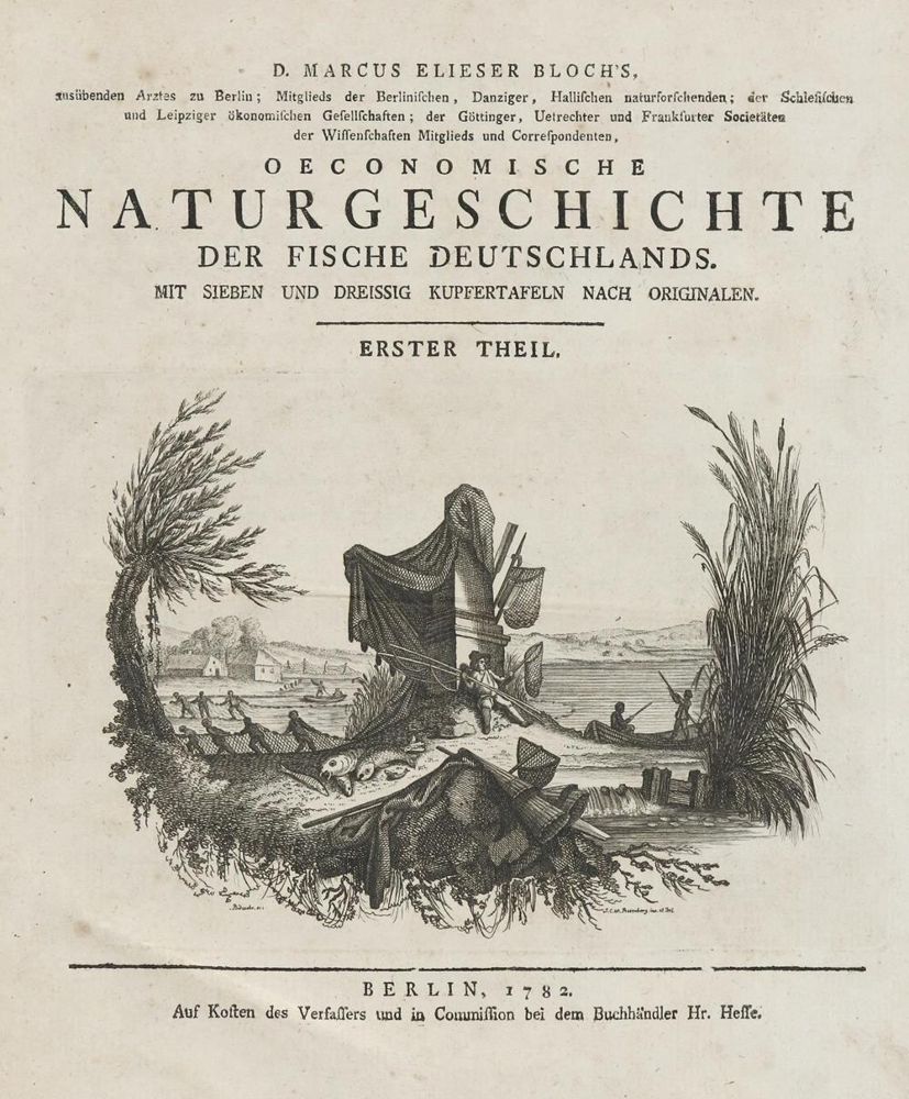 Große Abbildung Nr.7: 135-1752 Bloch,M.E.: (Zoologie, Fische)