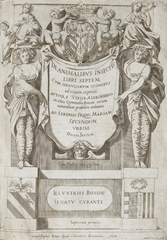 Große Abbildung Nr.1: 135-1755 Aldrovandi,U.: (Zoologie, Insekten)