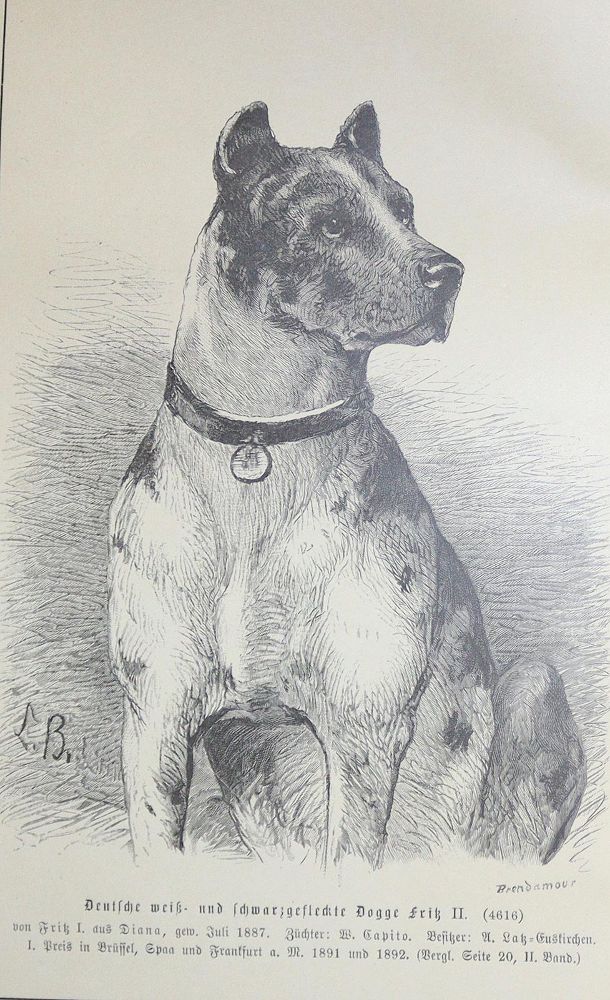 Große Abbildung Nr.1: 135-1758 Beckmann,L.: (Zoologie, Kynologie)