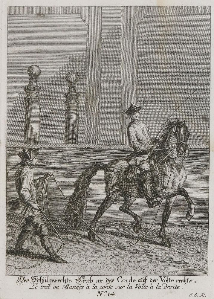 Große Abbildung Nr.1: 135-1763 Ridinger,J.E.: (Zoologie, Pferde)