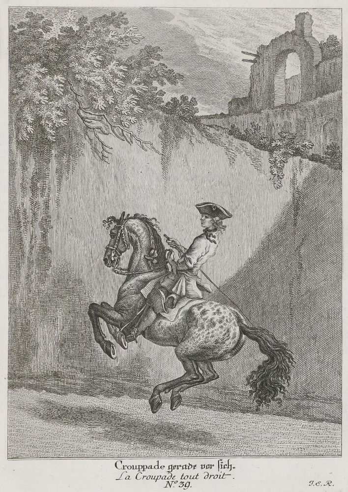 Große Abbildung Nr.2: 135-1763 Ridinger,J.E.: (Zoologie, Pferde)