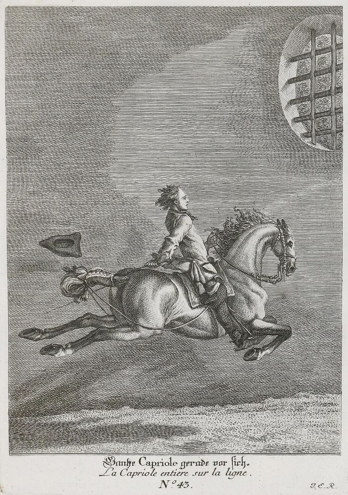 Große Abbildung Nr.3: 135-1763 Ridinger,J.E.: (Zoologie, Pferde)