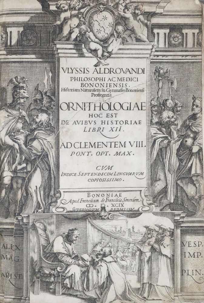 Große Abbildung Nr.1: 135-1766 Aldrovandi,U.: (Zoologie, Vögel)