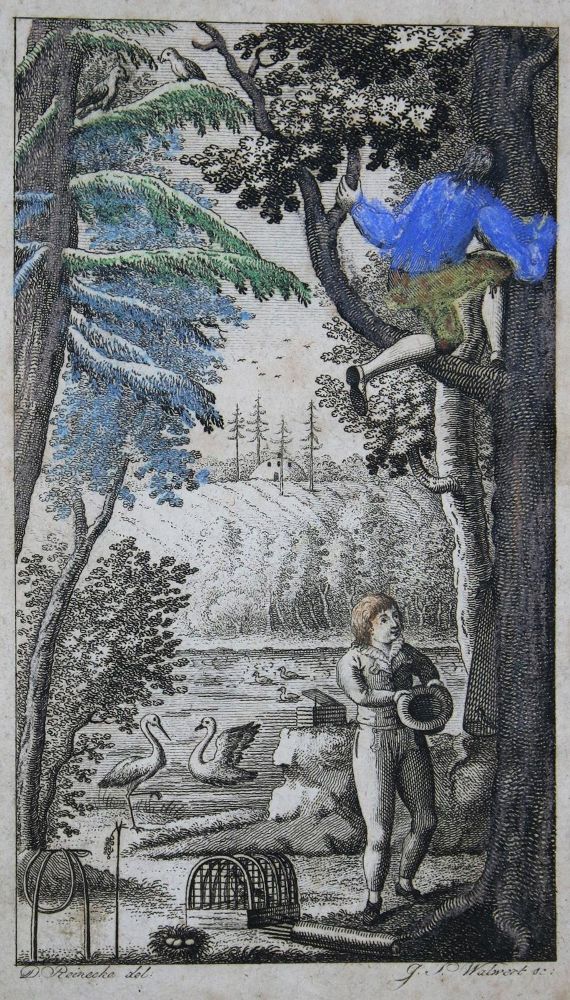 Große Abbildung Nr.3: 135-1772 (Pernau,F.A.v.).: (Zoologie, Vögel)