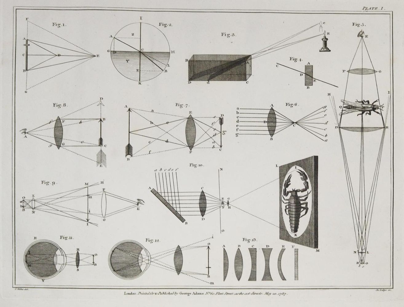 Große Abbildung Nr.1: 135-1839 Adams,G. (jun.).: (Verschiedene Gebiete - Varia, Mikroskopie)