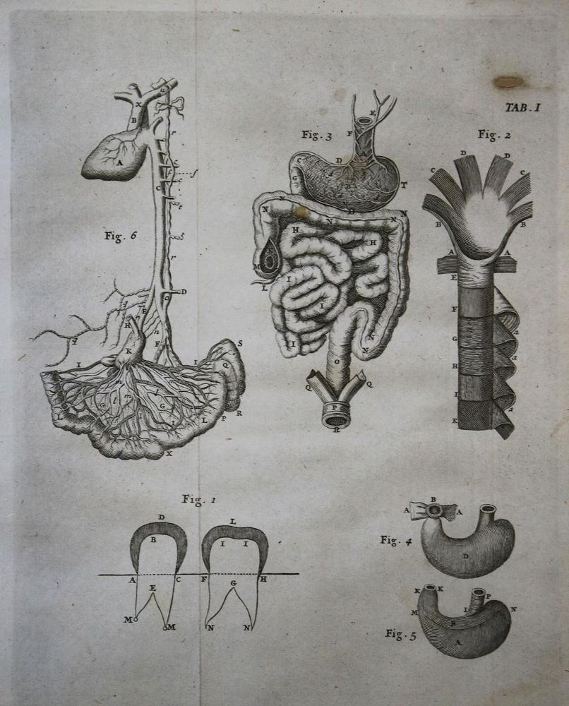 Große Abbildung Nr.1: 135-1841 Nieuwentyt,B.: (Verschiedene Gebiete - Varia)