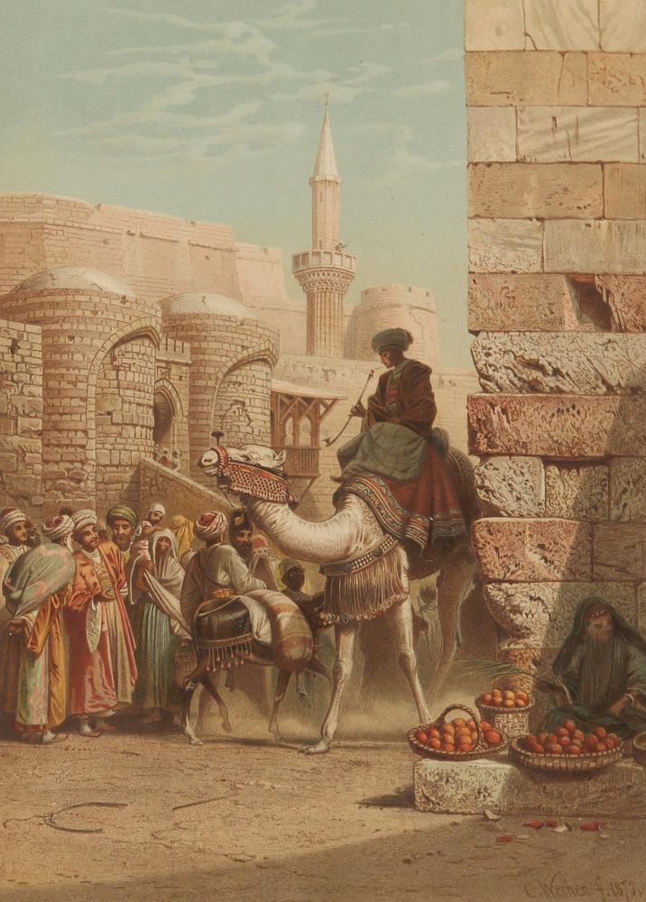 Große Abbildung Nr.1: 135-1870 Werner,C.F.H.: (Afrika, Ägypten)
