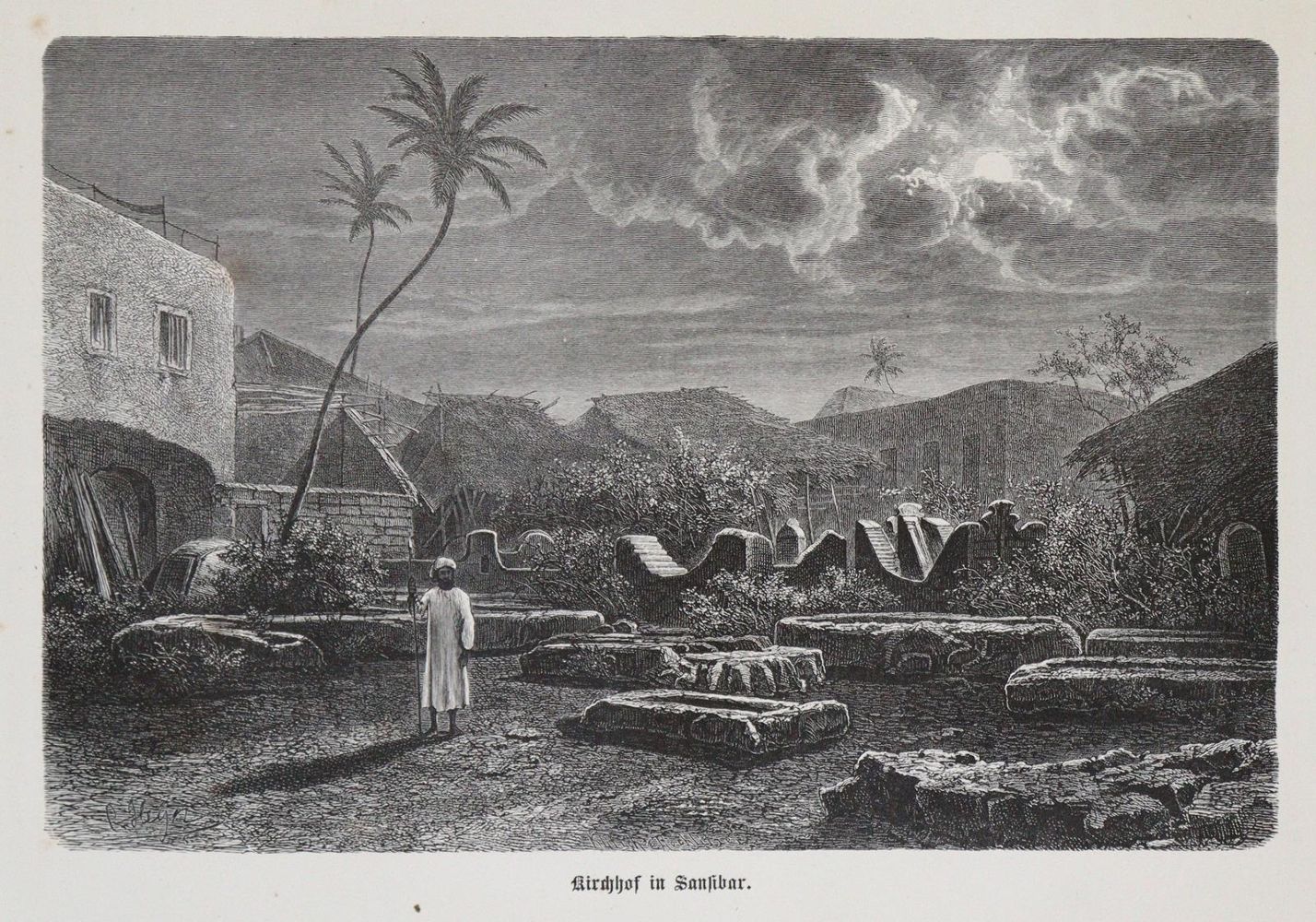 Große Abbildung Nr.1: 135-1879 Decken,C.C.v.der.: (Afrika)