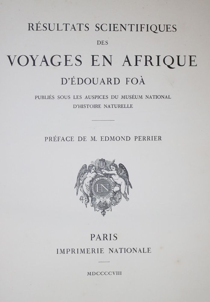Große Abbildung Nr.1: 135-1883 Foà,E.: (Afrika)