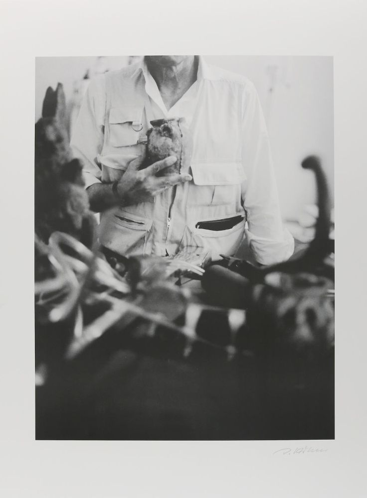 Große Abbildung Nr.1: 135-2578 Hiltmann, Jochen: (Beuys)