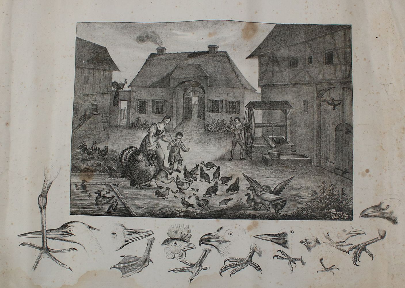 Große Abbildung Nr.3: 135-2614 Bauernhof.: (Varia, Anschauungsbilder)