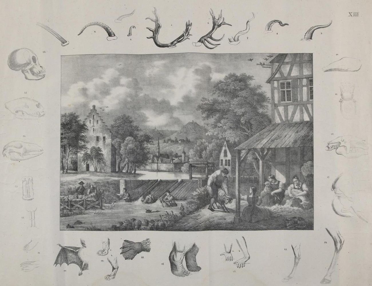 Große Abbildung Nr.1: 135-2615 Landwirtschaft.: (Varia, Anschauungsbilder)