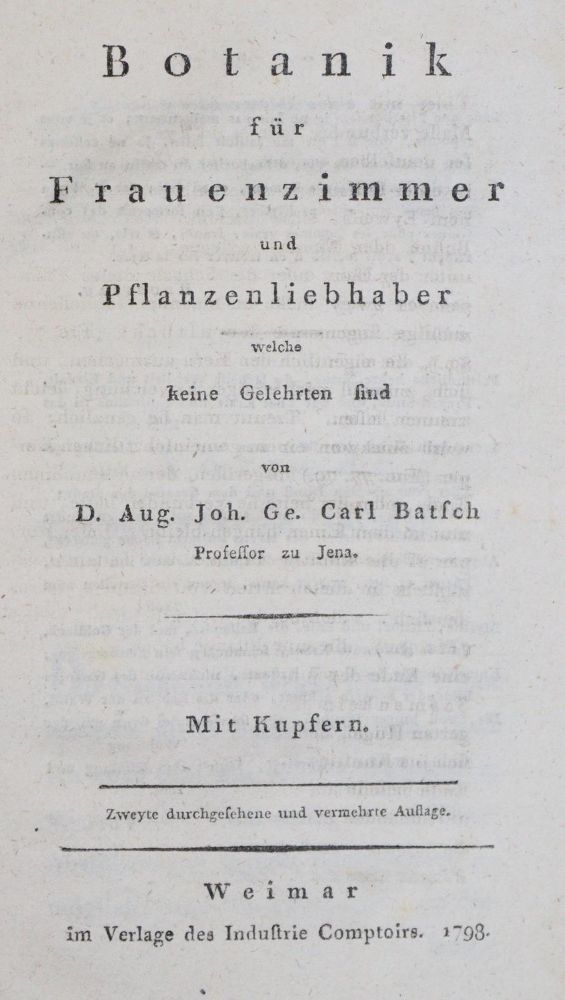 Große Abbildung Nr.1154: 135-2626 Gastronomie.: (Varia, Berufe)