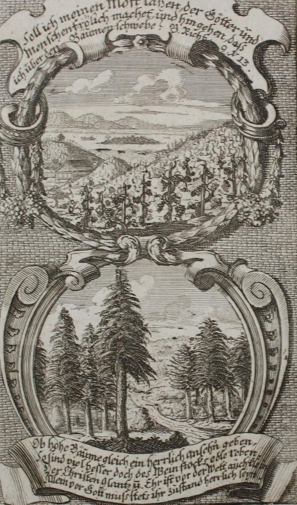 Große Abbildung Nr.1: 135-263 Gütner,J.G.: (Alte Drucke, Handschriften und Theologie)
