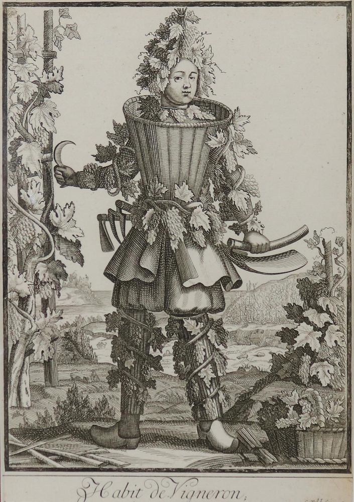 Große Abbildung Nr.1: 135-2642 Weinbauer.: (Varia, Berufe)