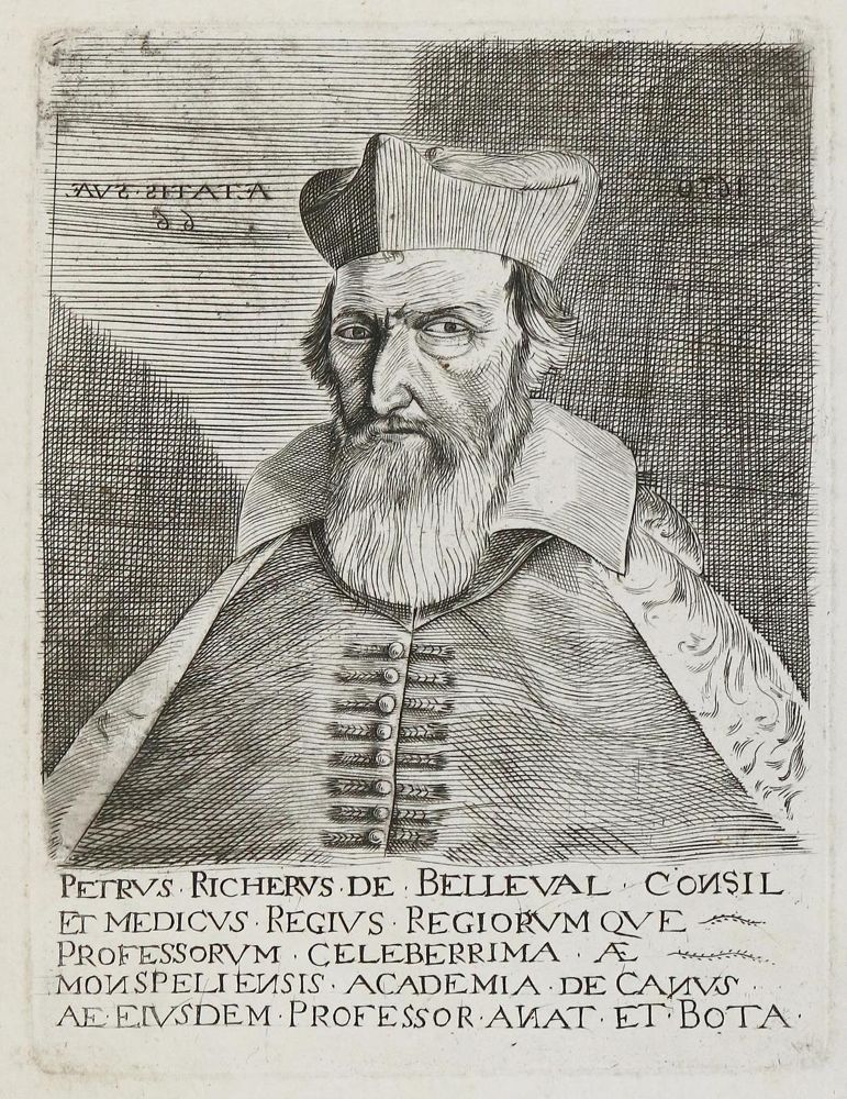 Große Abbildung Nr.1: 135-2652 Belleval, Pierre Richer de.: (Varia, Botanik, Portrait)