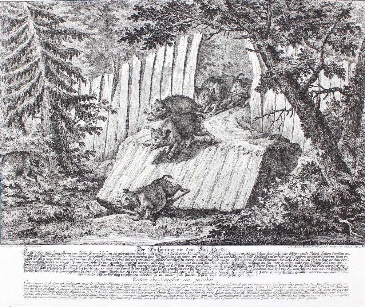 Große Abbildung Nr.1: 135-2709 Wolfsjagd.: (Varia, Jagd, Ridinger)