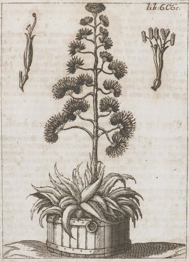 Große Abbildung Nr.1: 135-2735 Konvolut: (Varia, Landwirtschaft)