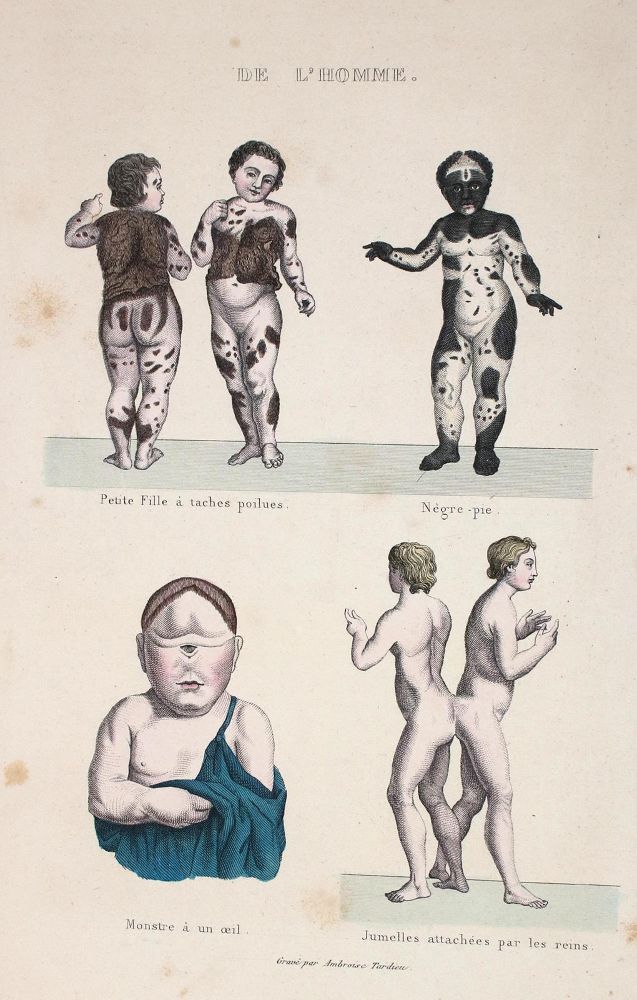 Große Abbildung Nr.1: 135-2739 Konvolut: (Varia, Medizin)