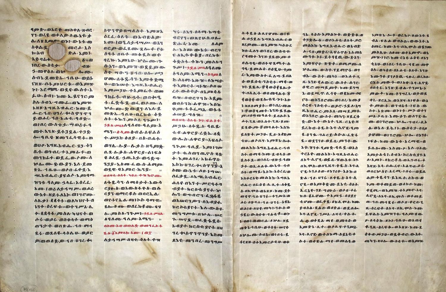 Große Abbildung Nr.1: 135-281 Äthiopische Handschrift.: (Handschriften)