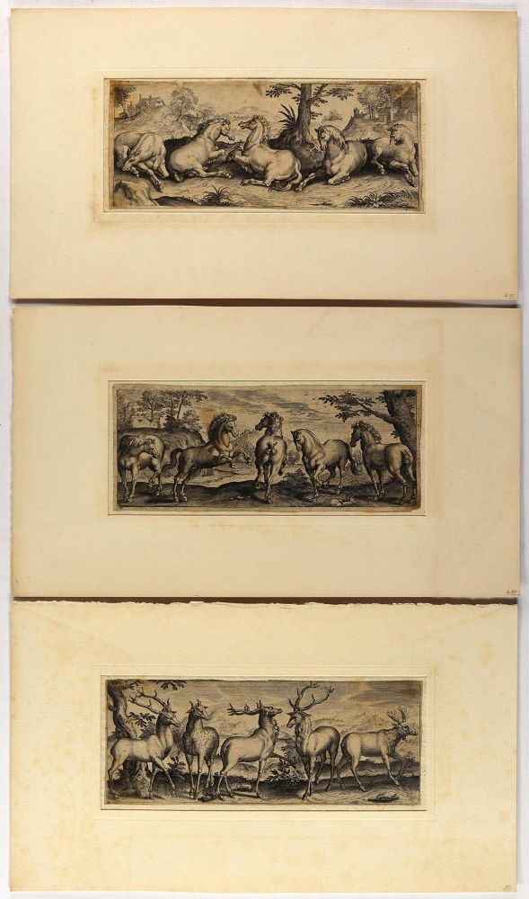 Große Abbildung Nr.3: 135-2850 Tiere.: (Varia, Zoologie)