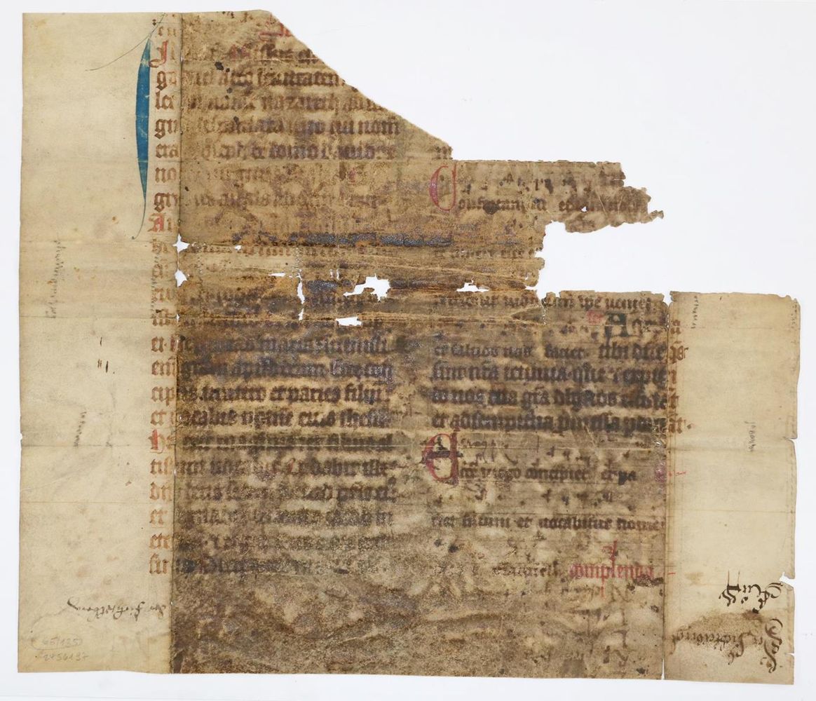 Große Abbildung Nr.2: 135-293 Graduale.: (Handschriften, Einbandmakulatur)
