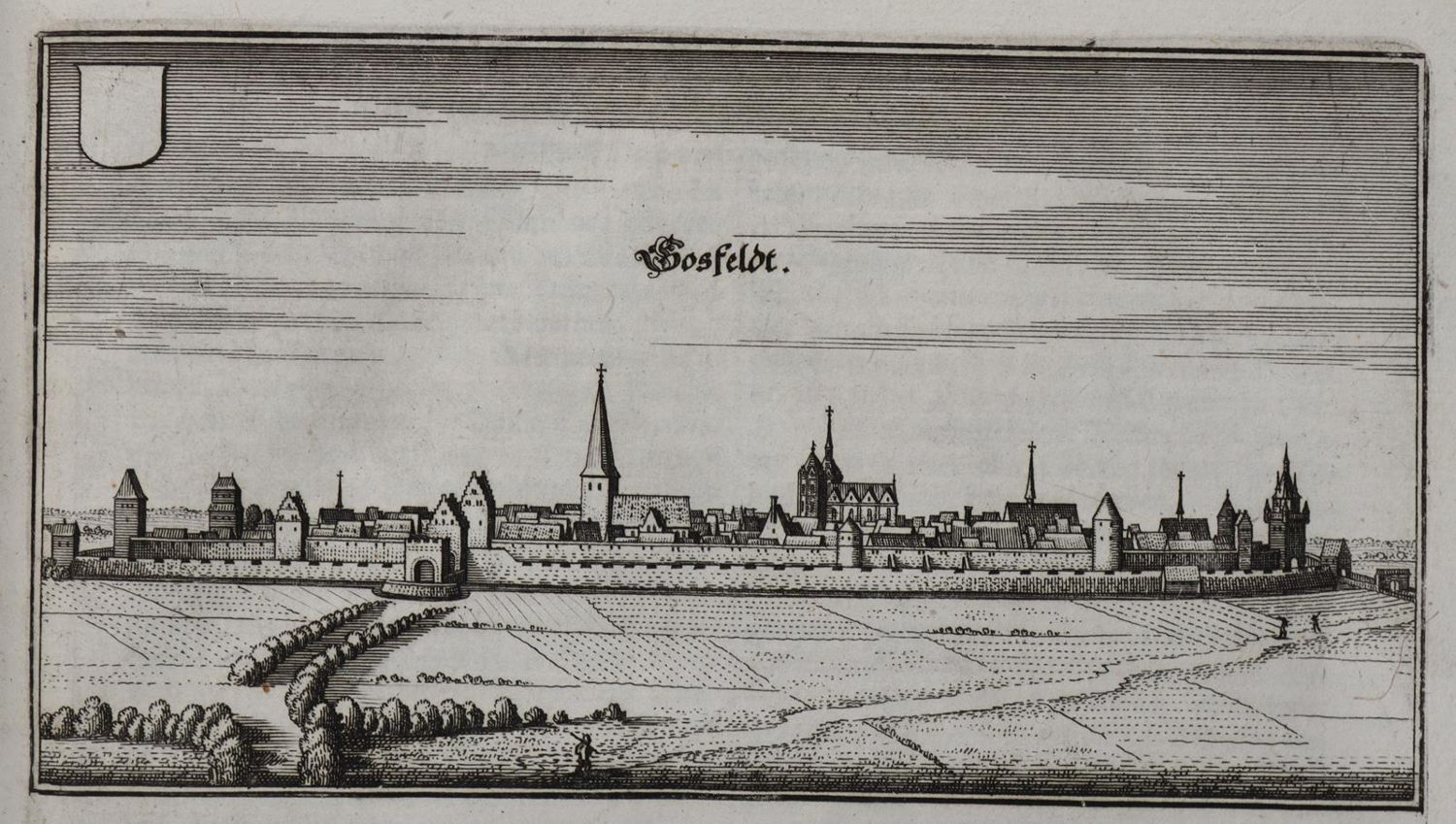 Große Abbildung Nr.1: 135-3065 Cosfeld.: (Deutschland)