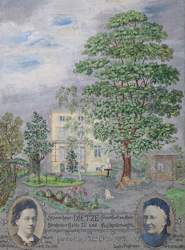 Große Abbildung Nr.1: 135-3090 Frankfurt a. Main.: (Deutschland)