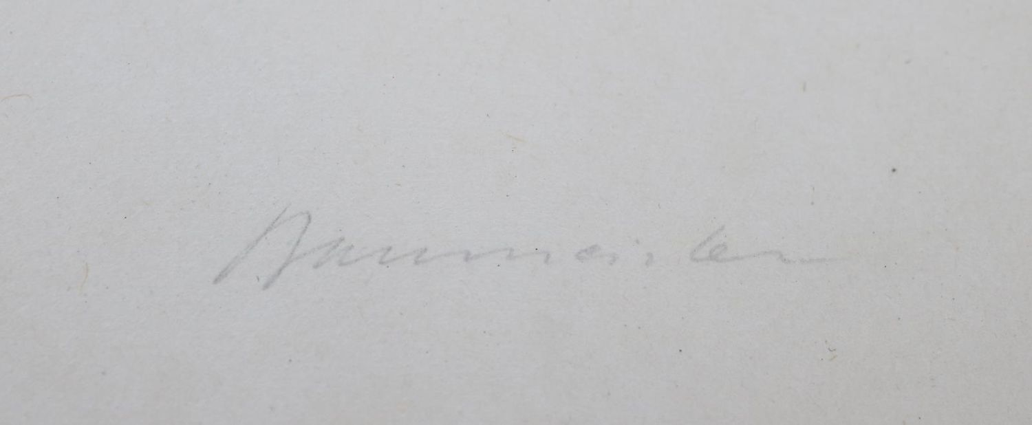 Große Abbildung Nr.3: 135-3578 Baumeister, Willi: (Künstlergraphik)