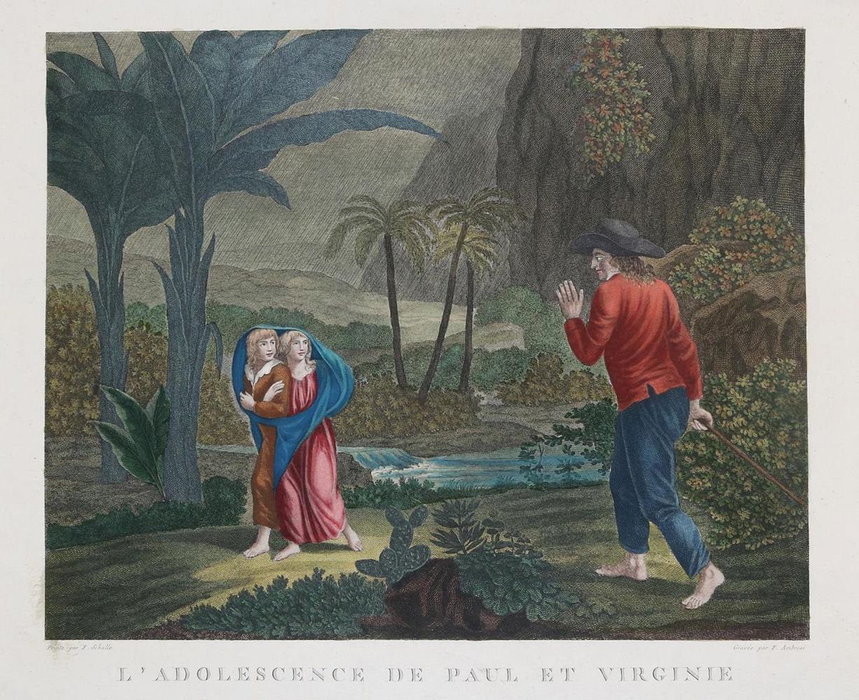 Große Abbildung Nr.2: 135-3591 Paul et Virginie.: (Künstlergraphik, Bellavitis, Ambrosi)
