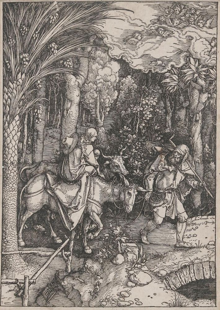 Große Abbildung Nr.1: 135-3742 Dürer, Albrecht: (Künstlergraphik)