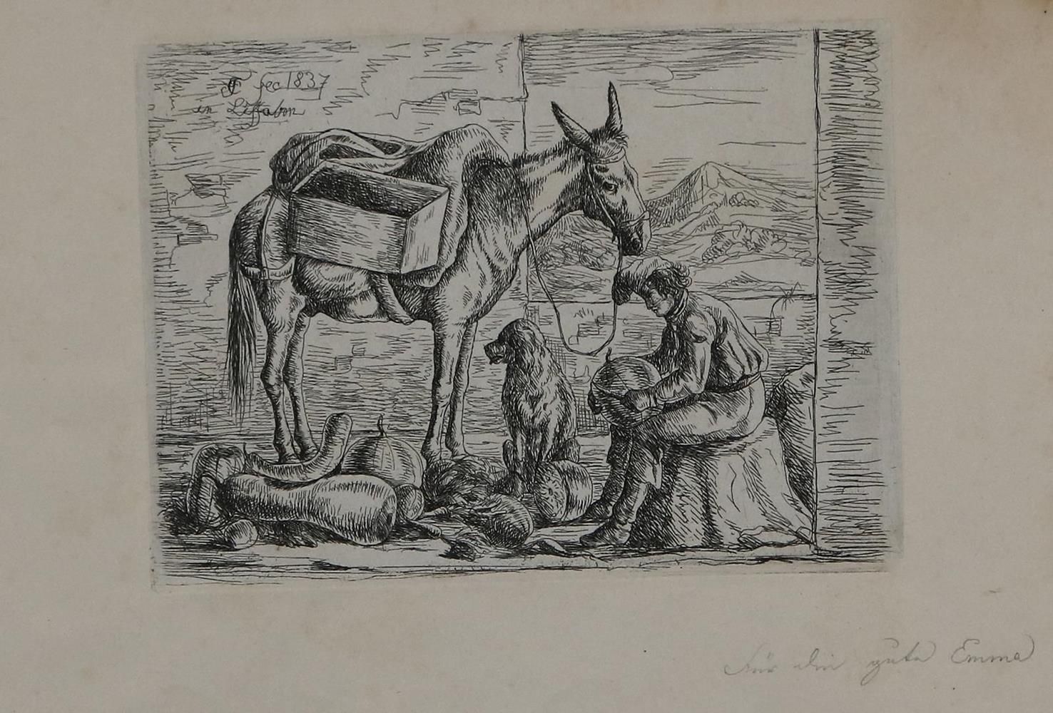 Große Abbildung Nr.1: 135-3788 Fernando II. (Ferdinand August von Sachsen-Coburg u. Gotha,: (Künstlergraphik)