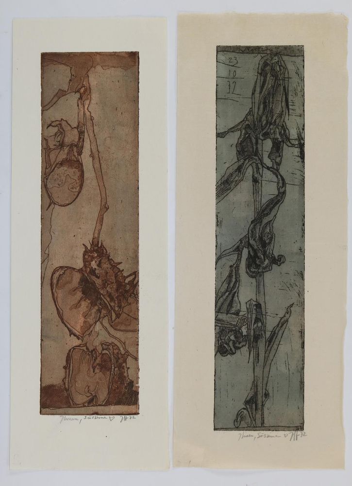 Große Abbildung Nr.7: 135-3954 Janssen, Horst: (Künstlergraphik)