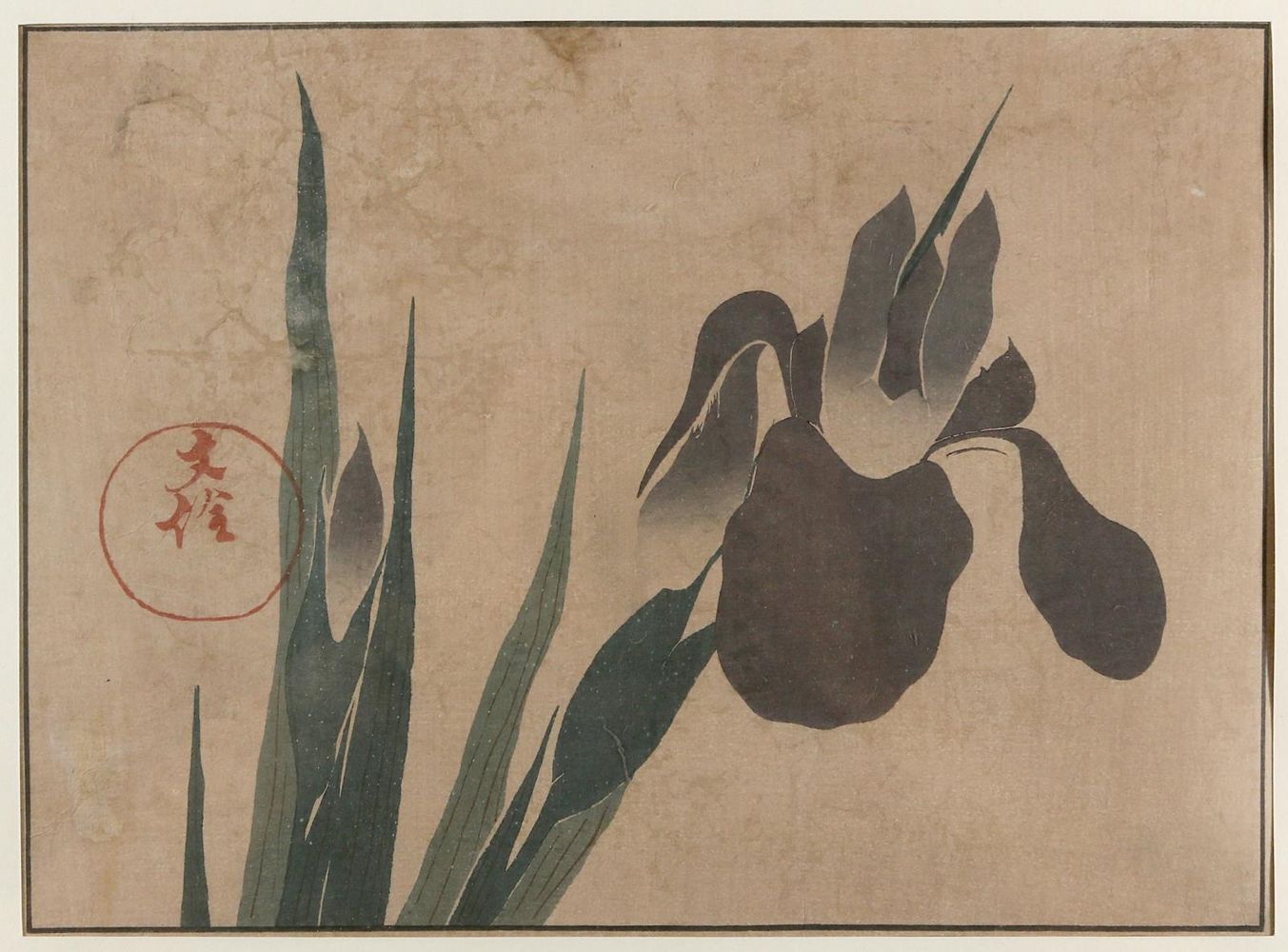 Große Abbildung Nr.1: 135-3965 Hoitsu, Sakai: (Künstlergraphik, Japan)