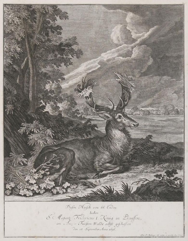 Große Abbildung Nr.1: 135-4328 Ridinger, Johann Elias: (Künstlergraphik)