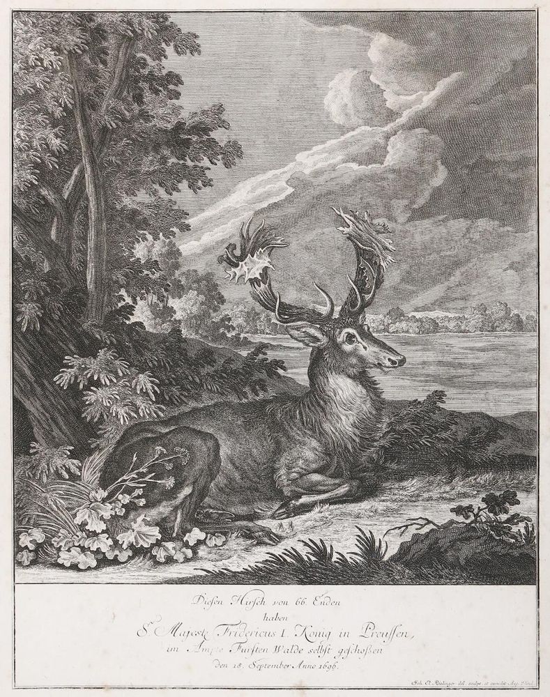 Große Abbildung Nr.2: 135-4328 Ridinger, Johann Elias: (Künstlergraphik)