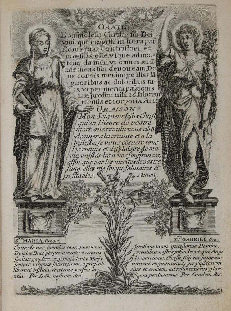 Große Abbildung Nr.1: 135-443 Mazot,F.: (Alte Drucke, Handschriften und Theologie)